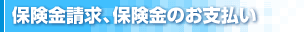 保険金請求、保険金のお支払い