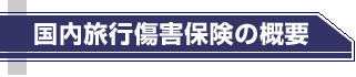 国内旅行傷害保険の概要