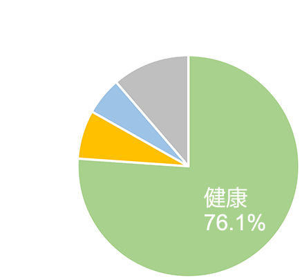 海外でのトラブル原因割合を表した円グラフ 健康72.9% 手荷物16.4% 飛行機5.2% その他5.5%