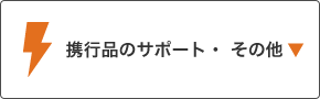 携行品の場合・その他